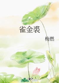雀金裘讲的什么