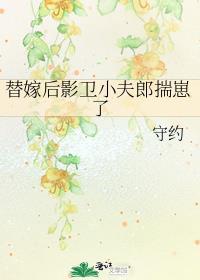 替嫁后影卫小夫郎揣崽了 守约