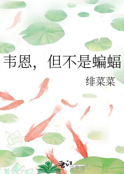 韦恩家的小蝙蝠崽[综英美