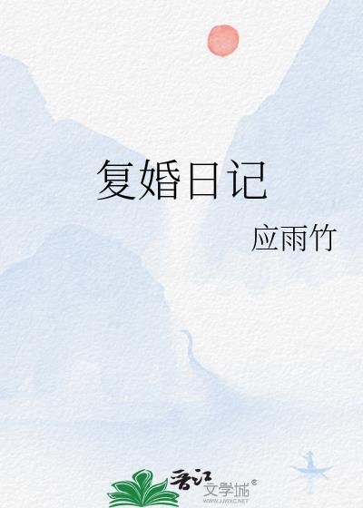 复婚日记txt