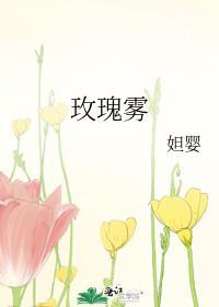 玫瑰雾TXT