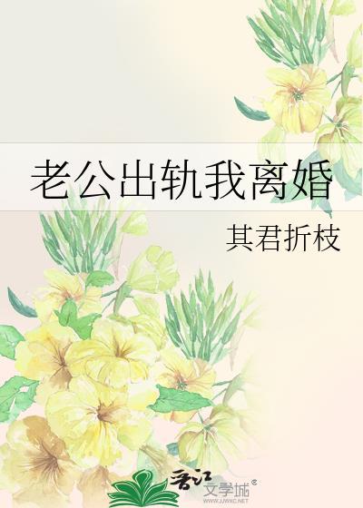 老公出轨我离婚txt