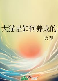 怎么训练大猫