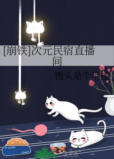 次元崩坏