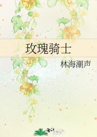 电视剧玫瑰骑士
