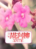 何寻 何寻