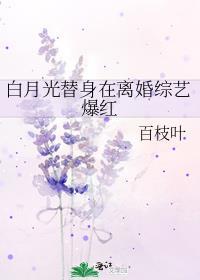 白月光替身自力门户了