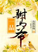 一品驸马爷by春溪笛晓讲什么