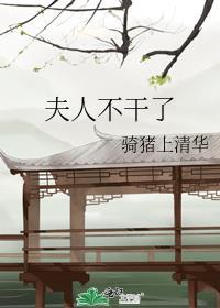 夫人不干了晋江
