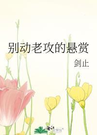 别动老攻的悬赏剑止未删减