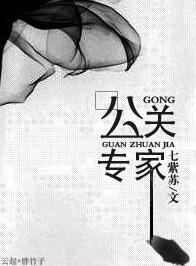 公关专家雾里青txt