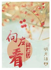 向右向左转视频