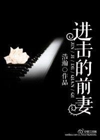 进击前妻