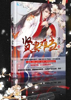 贤妻不简单