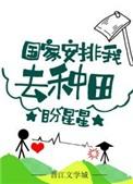 国家安排我去种田红甘泉