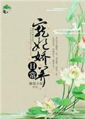 宠妃娇养日常 书包网