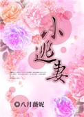 小逃妻桓素舸的结局