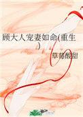 顾大人宠妻日常