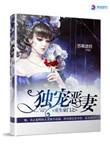独宠异能妻