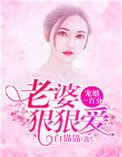 宠妻狂魔我老婆又狠又甜