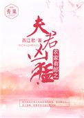 农家夫郎txt