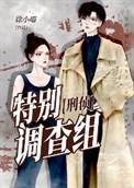 特别调查组刑侦全文