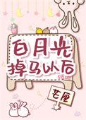 白月光掉马以后txt