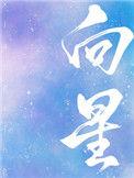 向星简介