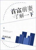 首富前妻再婚