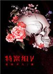 特殊案件调查组一