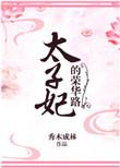 太子妃的荣华路讲什么