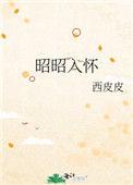 昭昭入怀作者西皮皮