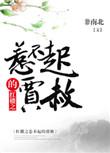 红楼之贾赦之妻不好欺