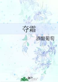 夺霜txt全文