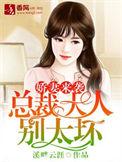 娇妻入怀总裁大人轻宠免费
