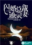闪婚总裁电视剧全集免费