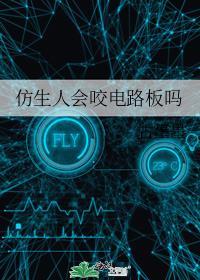 仿生人会咬电路板吗(主攻)