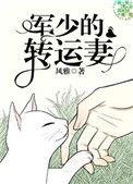 军少的转运妻苏译宫恒结局