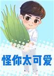 怪你太可爱全文