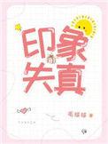 印象失真趣书网