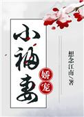 九爷的娇宠妻
