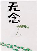 无念(修真)