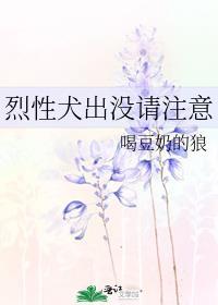 歌曲念念不忘