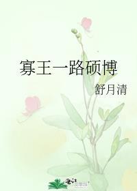 寡王一路硕博是谁写的