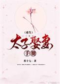 太子娶太子妃