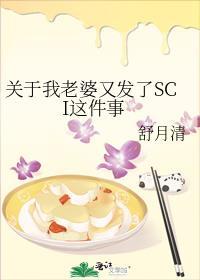 关于我老婆又发了SCI这件事 作者舒月清