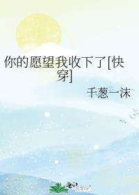 你的愿望也是我的愿望怎么说