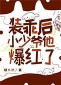 装乖后小少爷他爆红了糖九分免费