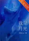 我见月光by怀南小山全文免费