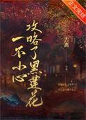 一不小心攻略了黑莲花在线阅读